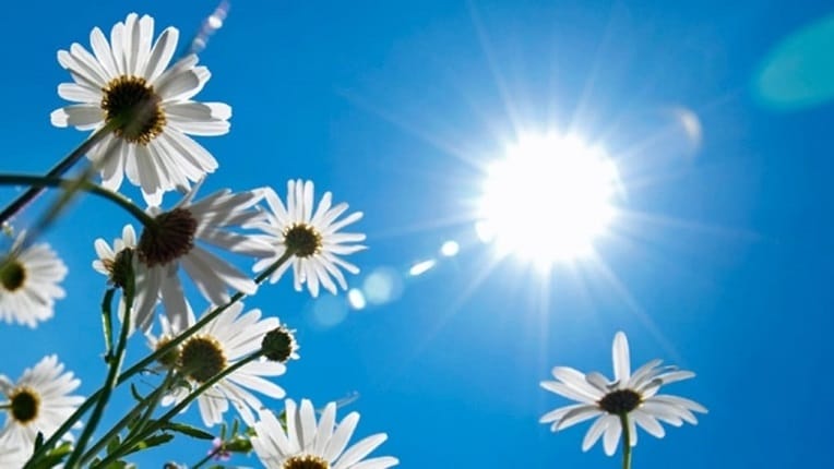 VIDÉO. Les prévisions météo du samedi 23 juin