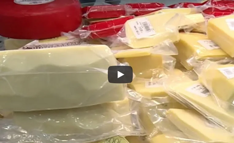 VIDÉO. Découvrez en images la fromagerie artisanale Montebello à Tipaza