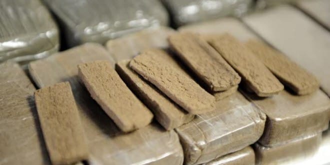 Forte baisse des quantités de résine de cannabis saisies en Algérie