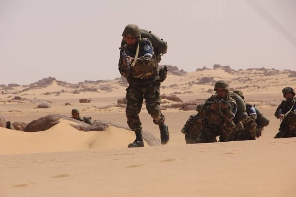 Reddition de quatre terroristes à Tamanrasset