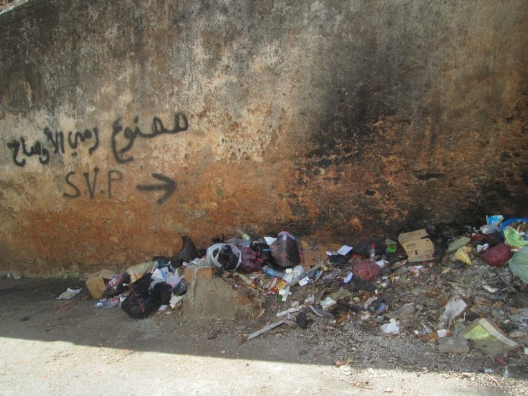 Odeurs nauséabondes, restes alimentaires… Alger croule sous les déchets ménagers