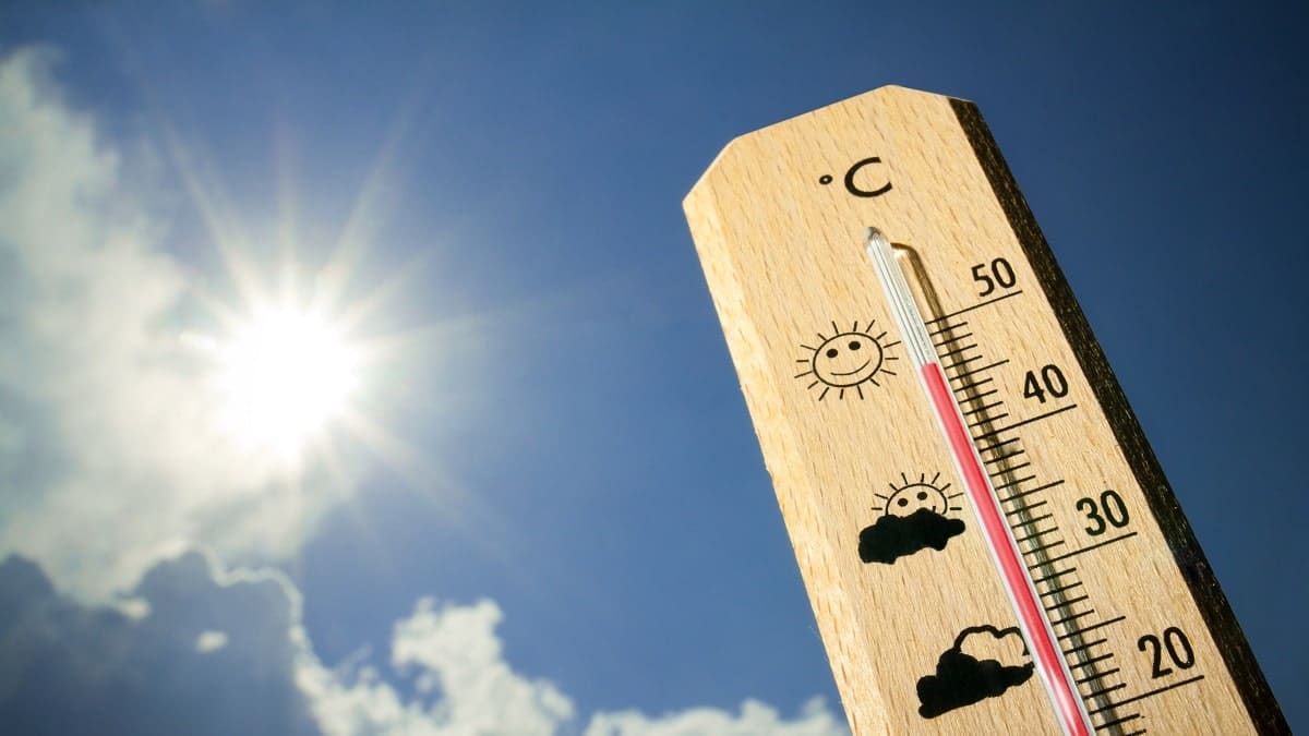 Un record a été enregistré à Ouargla : le changement climatique à l’origine de la vague de chaleur frappant l’Algérie