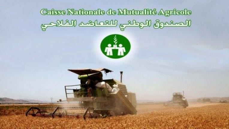 L’objectif est atteint : Les chiffres de la CNMA affirment la réussite