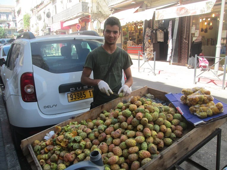 La pastèque boudée, la figue de Barbarie reine des marchés à Alger