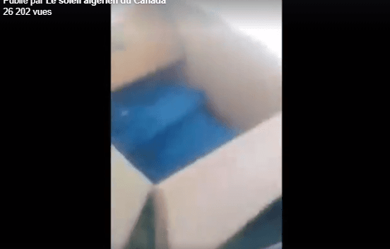 Bébé mort-né placé dans un carton à Oran : les autorités défendent la décision de l’hôpital