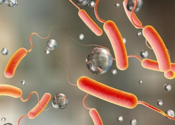Choléra : les derniers chiffres officiels du ministère de la Santé
