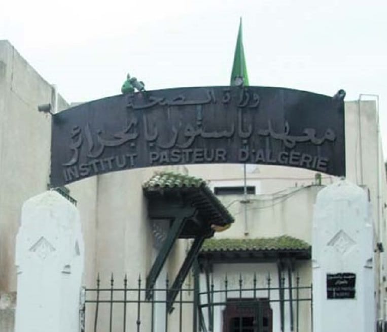 VIDÉO. Choléra : l’étrange comparaison du directeur de l’Institut Pasteur d’Algérie