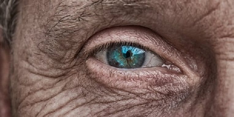 Santé : rendre la vue aux aveugles