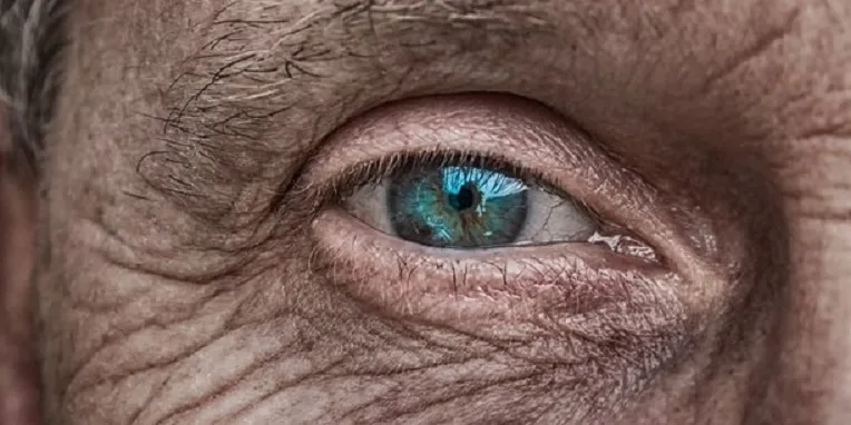 Santé : rendre la vue aux aveugles