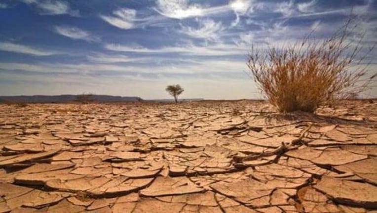 « Dans les années à venir, il fera plus chaud et plus sec en Algérie »
