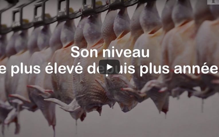 VIDÉO. Pourquoi le prix de la volaille flambe ?