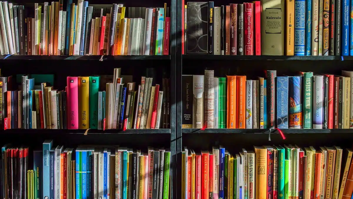 La mort programmée des bibliothèques communales d’Alger