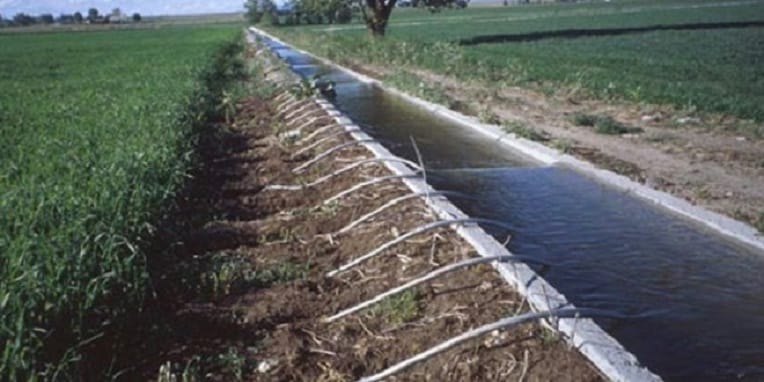 Les eaux d’irrigation des fruits et légumes produits en Algérie « ne sont pas à l’origine du choléra »