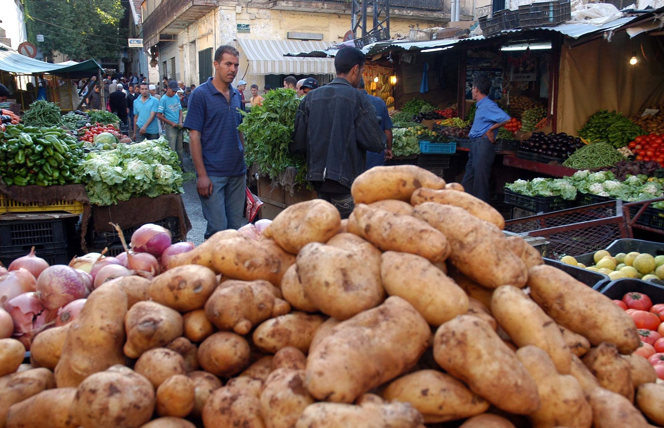 Faut-il réactiver l’Onafla, les Galeries algériennes et les Aswak el Fellah ?
