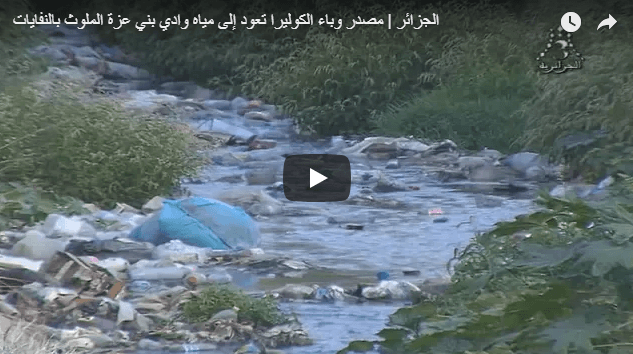 VIDÉOS. Choléra : découvrez l’oued Beni Azza à Blida, la source de la contamination