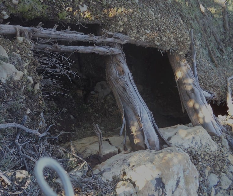 PHOTOS. Trois abris pour terroristes détruits à Batna