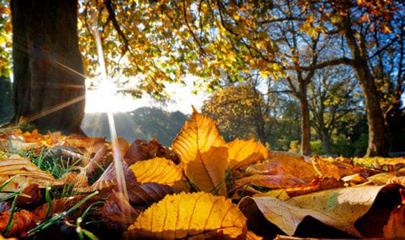 VIDÉO. Les prévisions météo du samedi 06 octobre