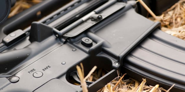 L&rsquo;Algérie premier importateur d&rsquo;armes d&rsquo;Allemagne