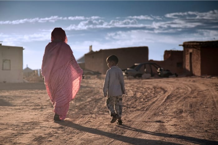 Sahara occidental : L’ONU recense 173 600 réfugiés dans les camps de Tindouf