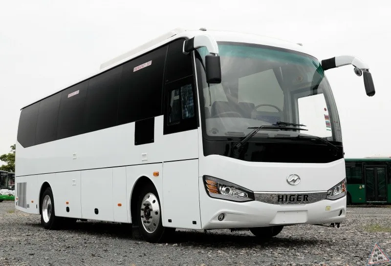 Transport universitaire : le groupe Mazouz veut concurrencer Tahkout