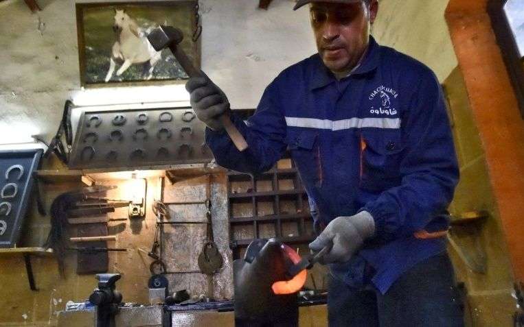 L’un des derniers maréchaux-ferrants d’Algérie lutte pour la survie du métier