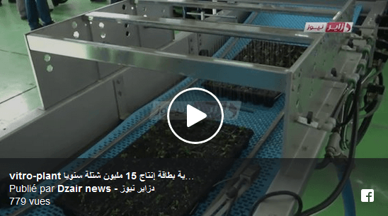VIDÉO. Plants fruitiers : une unité algéro-italienne ultramoderne à Blida