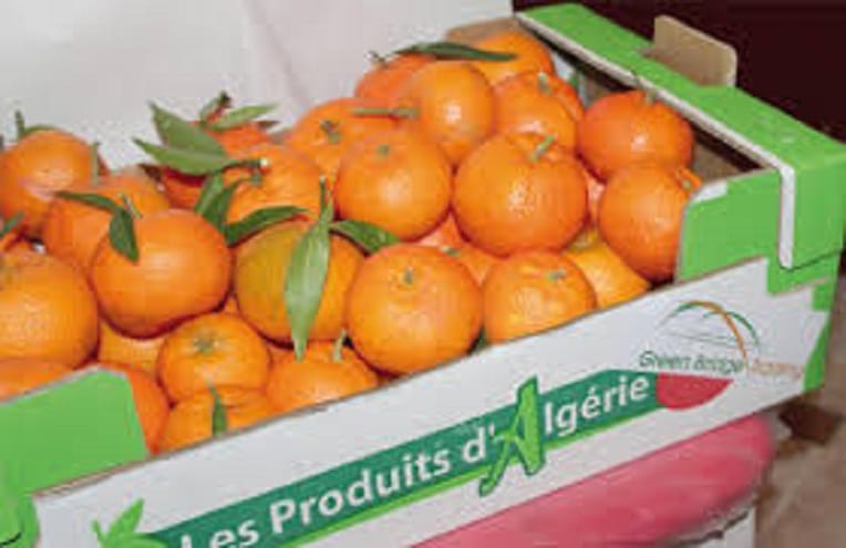 Un média marocain s’en prend aux exportations algériennes de fruits et légumes