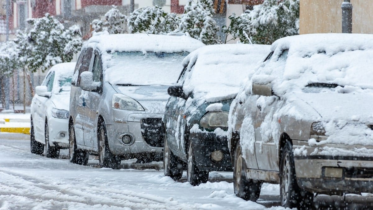 VIDÉO. Tempête de neige : la RN9 entre Bejaia et Sétif bloquée