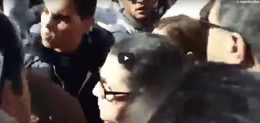 VIDÉO. Louisa Hanoune et Rachid Nekkaz chahutés par des manifestants à Alger