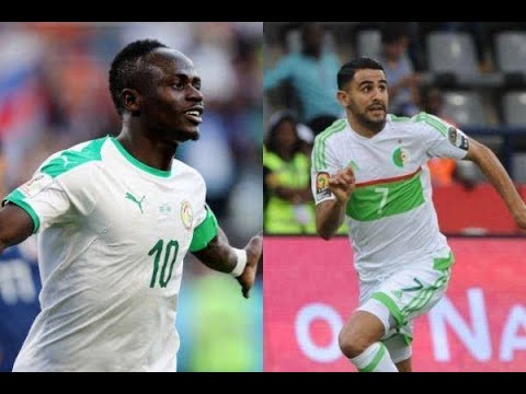 CAN 2019. Algérie – Sénégal : les Verts en quête de confirmation