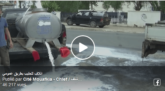 VIDÉO. Sidi Bel Abbès : les éleveurs déversent leur lait dans la rue