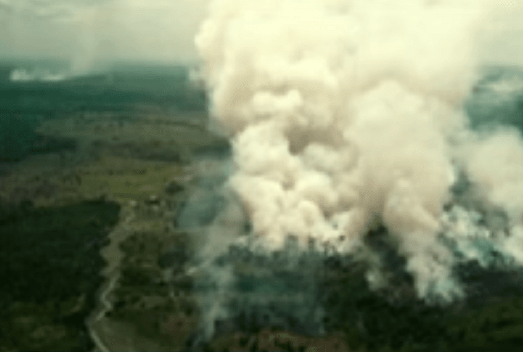 VIDÉOS. L’Amazonie, le poumon de la Planète, brûle