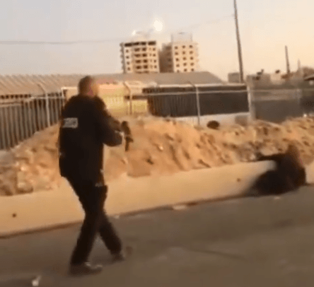 VIDÉO – Une Palestinienne tuée à bout portant par la police israélienne