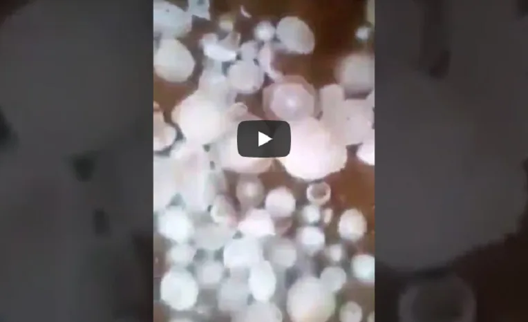 VIDÉO. De violentes chutes de grêle sur Khemis Miliana