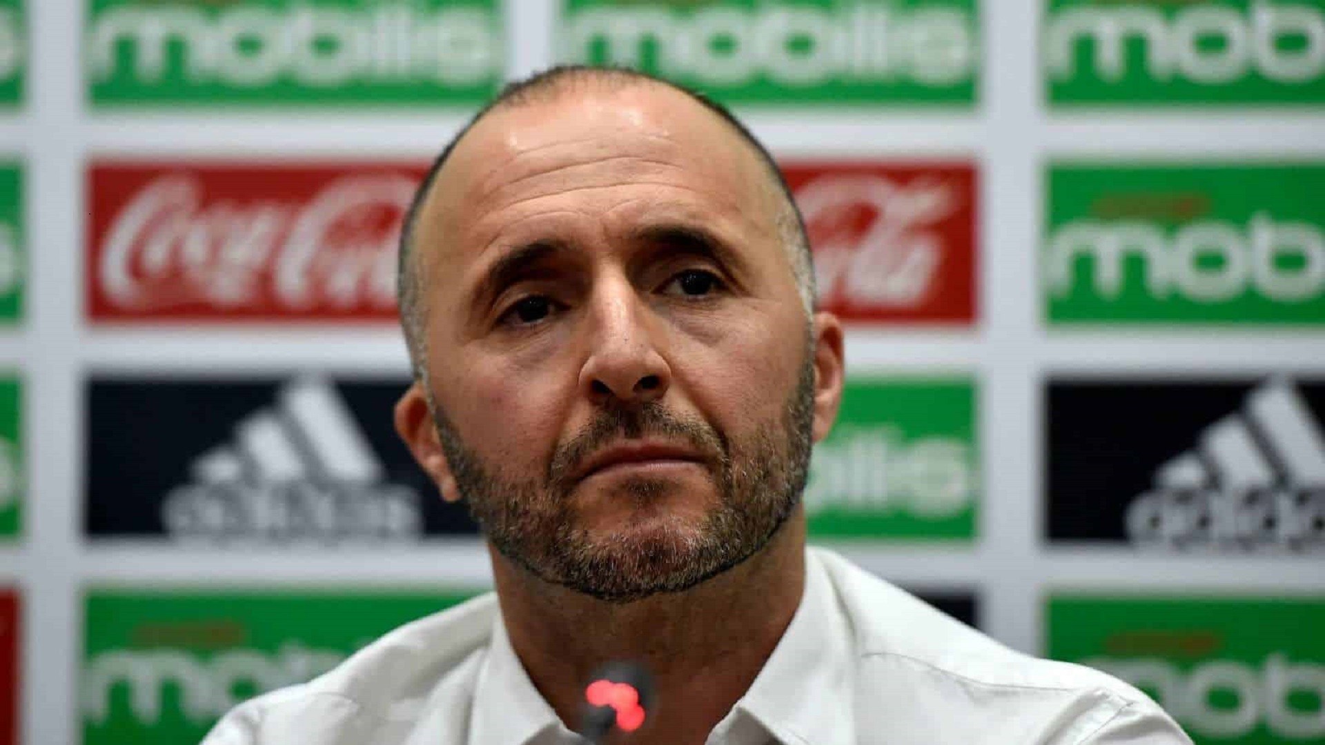 Présidence de la FAF : Belmadi, un enjeu crucial malgré lui