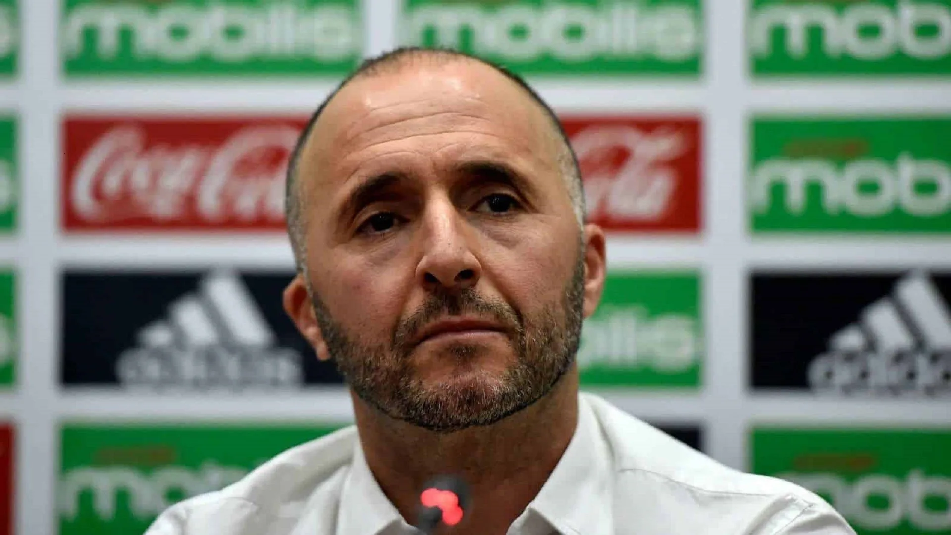 EN : Belmadi vise les quarts de finale du Mondial 2022