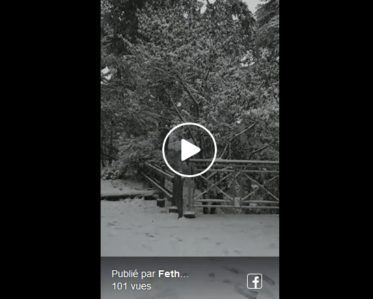 VIDÉO. Les premiers flocons de neige sont tombés sur Chréa