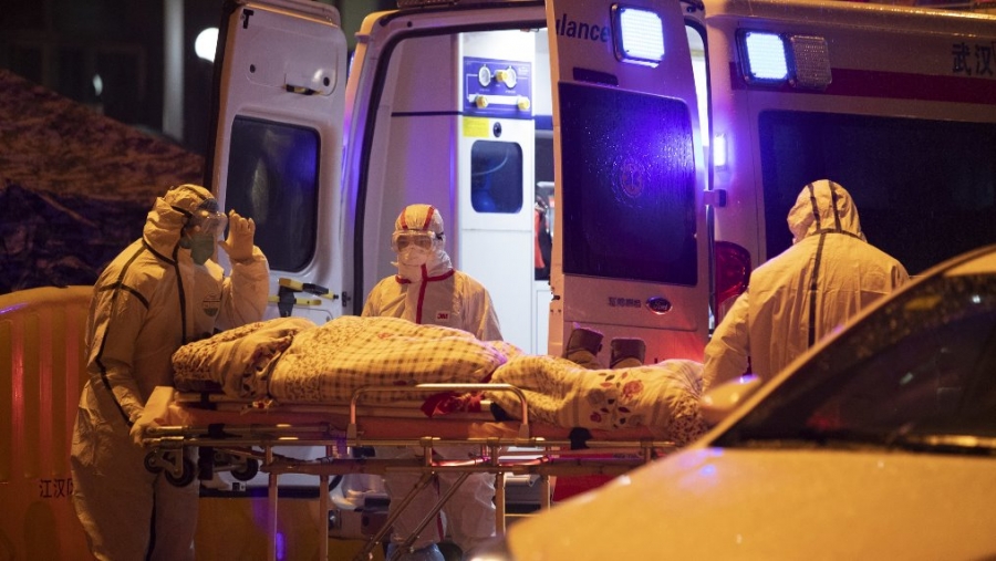 Coronavirus : plus de 720 morts et 34 500 contaminations en Chine, un mammifère soupçonné