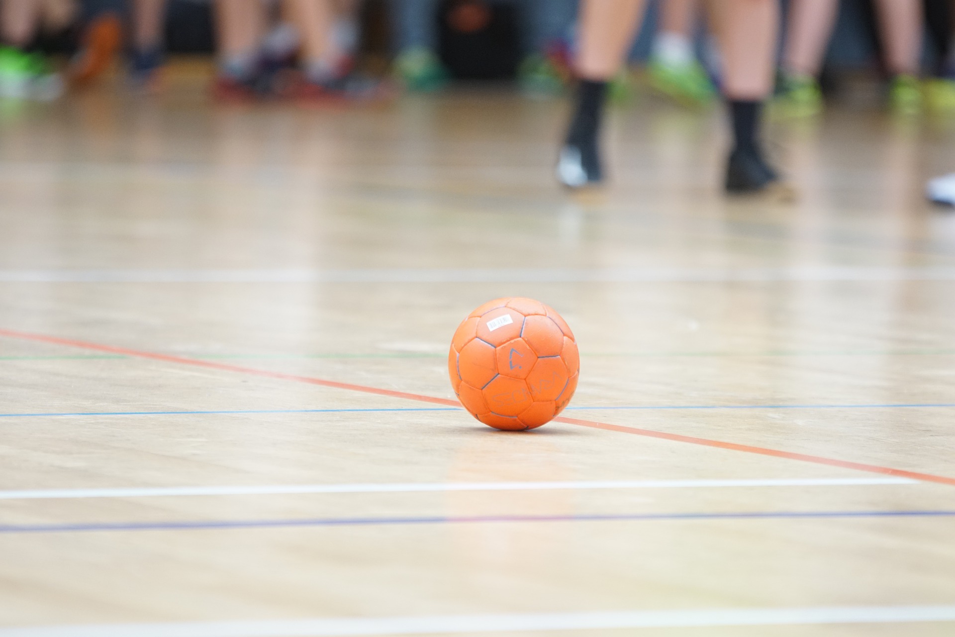 Une femme élue à la tête de la Fédération algérienne de handball