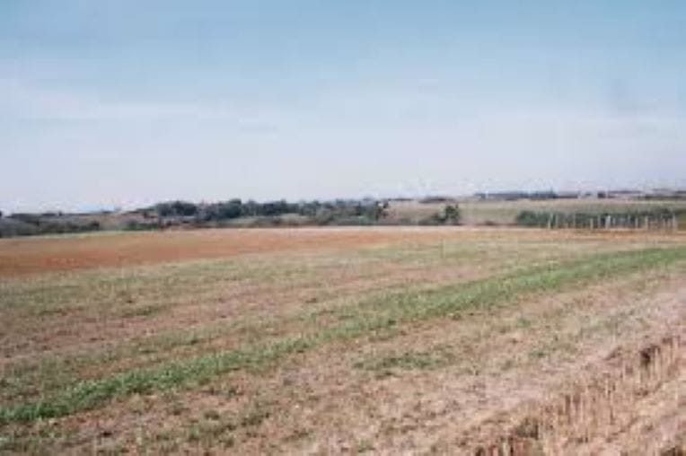 Des terres agricoles déclassées pour la construction de logements et d’équipements publics dans 5 wilayas