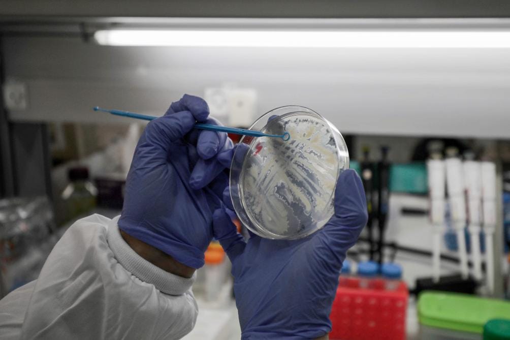 Coronavirus : ce que peuvent révéler les chiffres