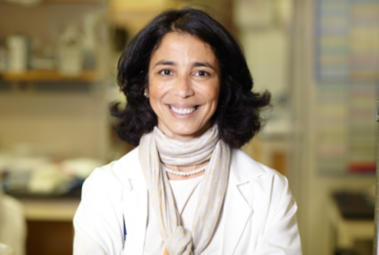 L’Algérie fière de son immunologiste Miriam Merad distinguée aux États-Unis