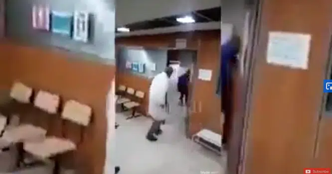 VIDÉO. Un serpent s&rsquo;infiltre dans une polyclinique à Constantine