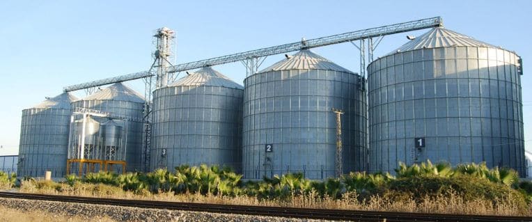 Production et importation de céréales : le paradoxe algérien
