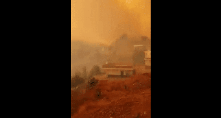 VIDÉO. Feux de forêts : des habitants d’un village de Sétif fuient les flammes