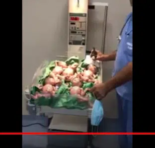 VIDÉO. Une femme donne naissance à des quintuplés à Ain Defla