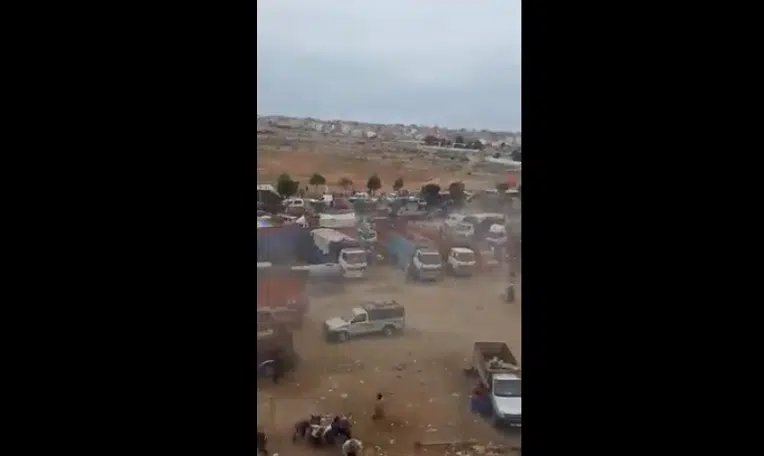 VIDÉO. Maroc : scènes surréalistes sur un marché de bétail