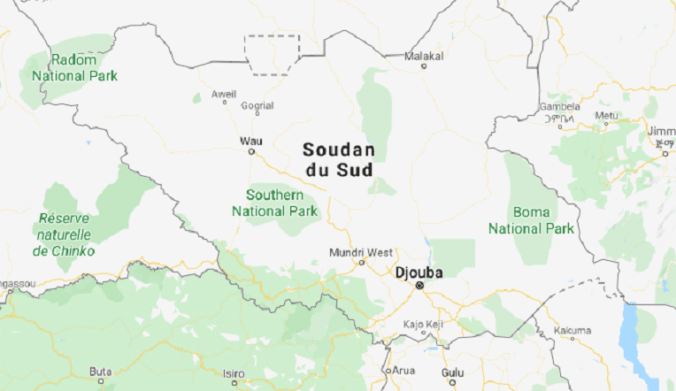 Soudan du Sud : mort de 17 personnes dans le crash d’un avion