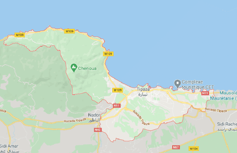 VIDÉO. Deux chevaux sèment la panique sur une plage d’Alger