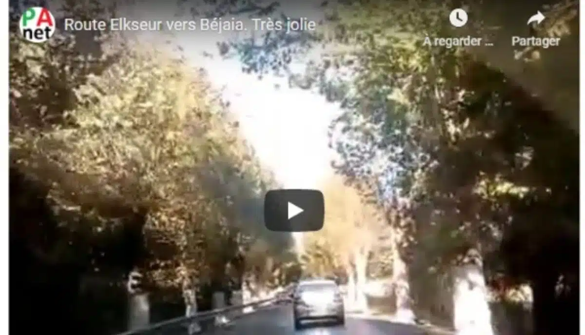 VIDÉO. Un automobiliste filme un accident en direct